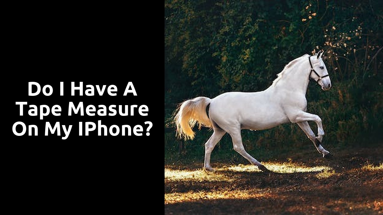 Do I have a tape measure on my iPhone?