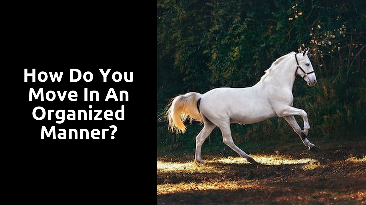 How do you move in an organized manner?