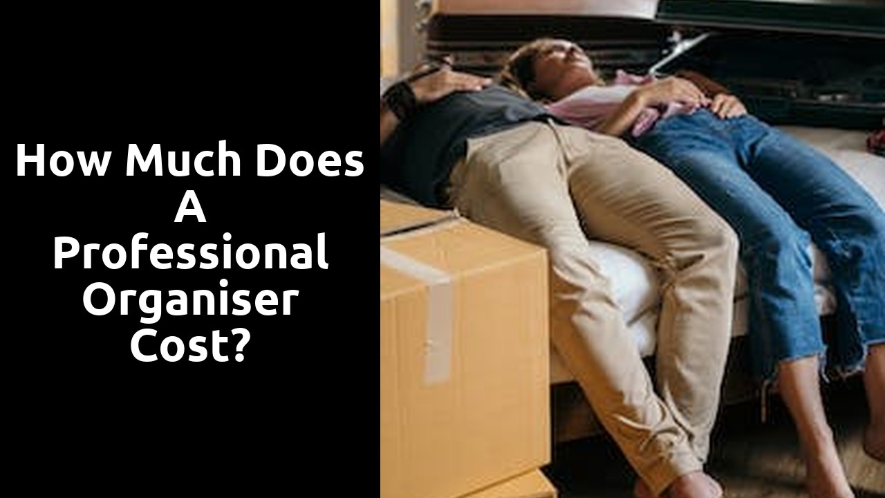 How much does a professional Organiser cost?