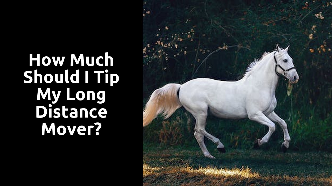 How much should I tip my long distance mover?