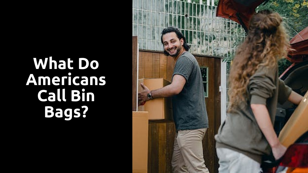 What do Americans call bin bags?