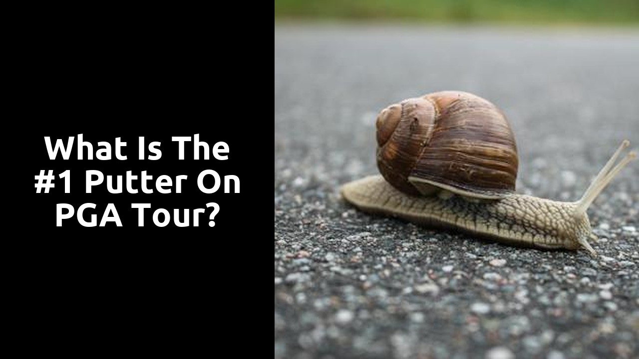 What is the #1 putter on PGA Tour?