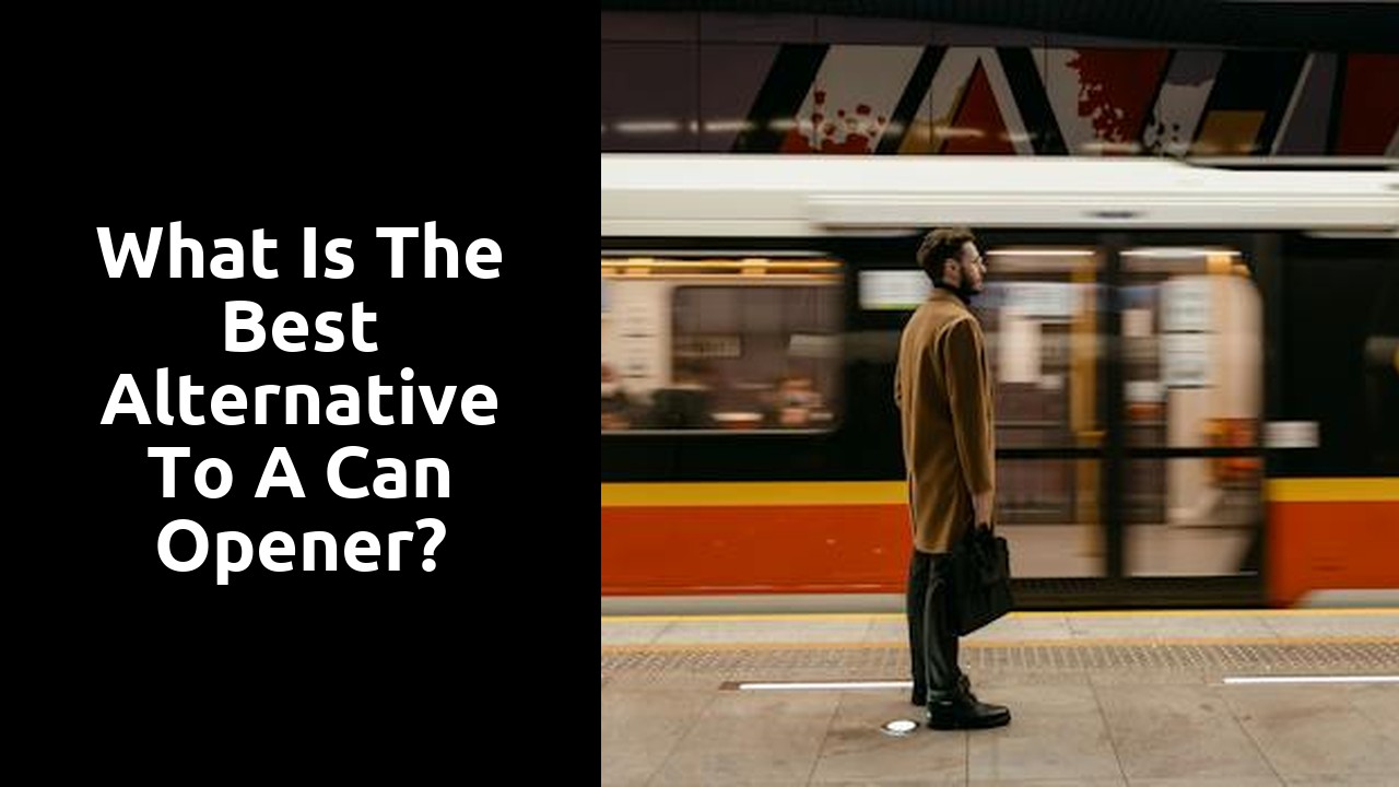 What is the best alternative to a can opener?