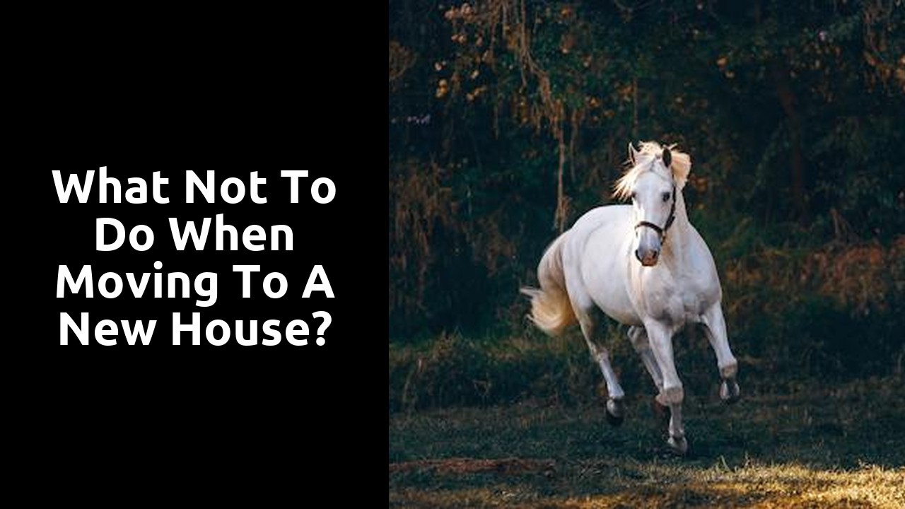 What not to do when moving to a new house?
