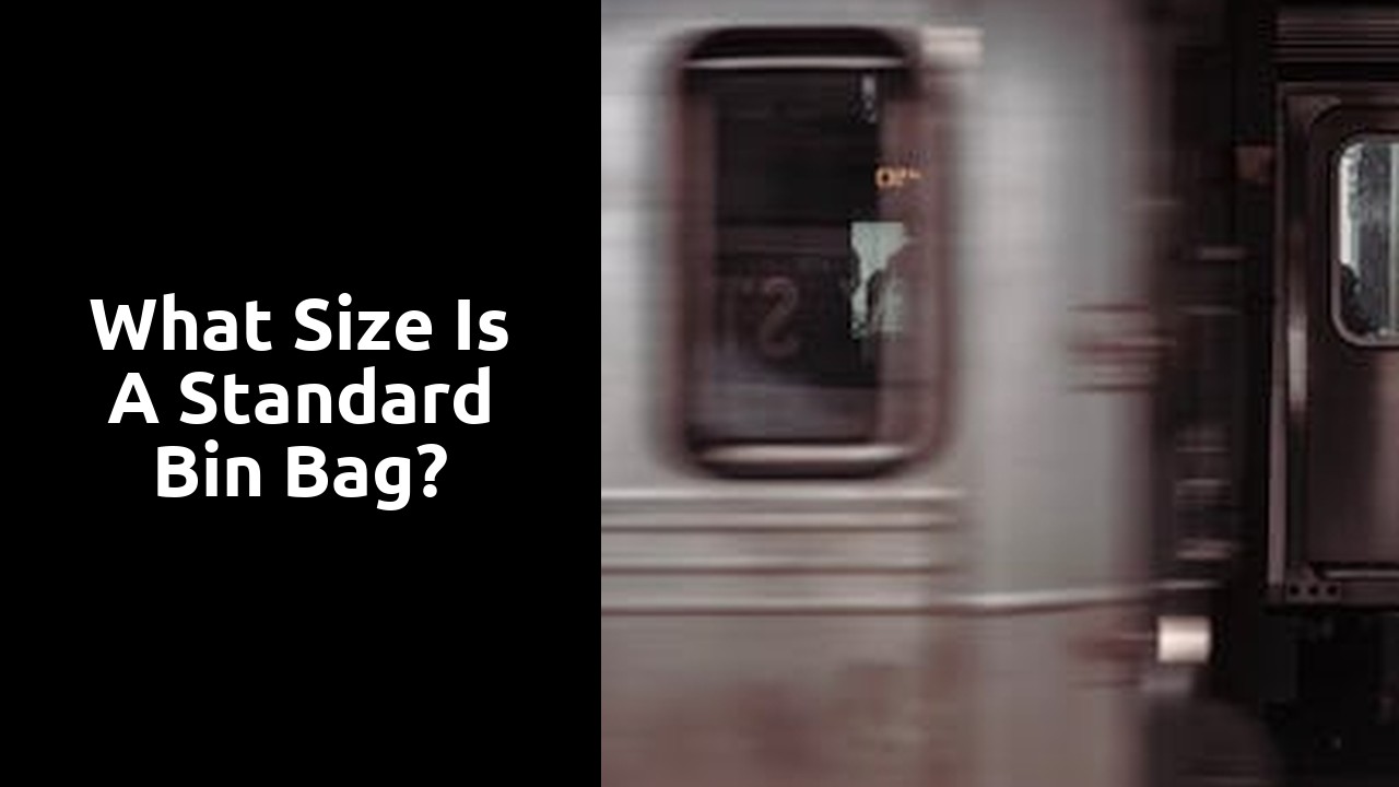 What size is a standard bin bag?