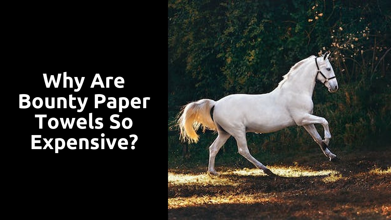 Why are Bounty paper towels so expensive?